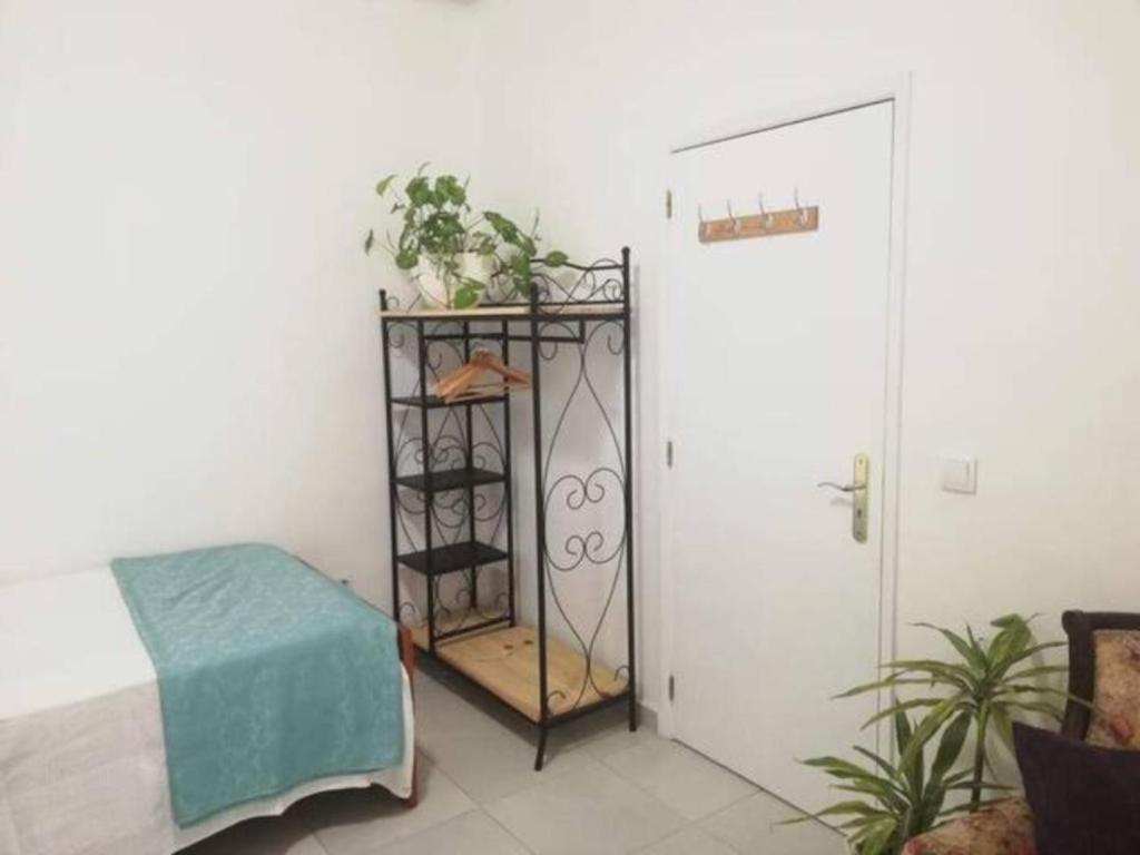 Home & Flower - Private Bedrooms Funchal Exterior foto